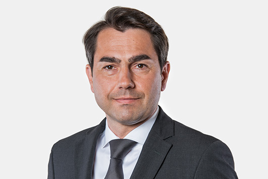 Günter Holl